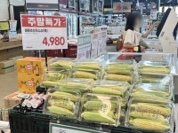 '고래잇페스타' 흥행 뒤엔…이마트·에브리데이 통합 '시너지'