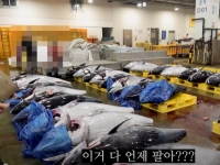 '동해산 참치' 현실로…잭팟인줄 알았는데 '울상' 왜?