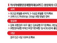 APEC 준비 민관 총력전…숙소 부족 우려 '여전'