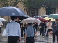 "우산 뒤집히지 않게 꽉 잡으세요" 전국에 돌풍 동반 강한 비