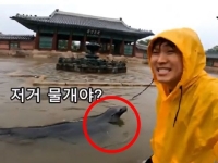 "폭우에 잠긴 경복궁서 '물개'가 헤엄쳐"…"실감 나지만 속지는 않아"