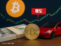 '비트코인' 너무 빨리 판 테슬라…4.8조 잠재 수익 날렸다