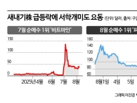 3900% 급등에 현혹돼 올라탔다가…폭락 직격탄 맞은 서학개미