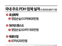 프로필렌 전용 설비도 '적자 늪'…가동 중단하고 빚으로 연명