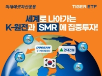 TIGER 코리아원자력 ETF 신규 상장
