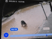 배수구 4개 뚫고 15분 만에 도로 정상화…인천 '고무장갑 의인'