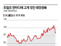 트럼프 한마디에 11% '폭삭'…비상 걸린 태양광株