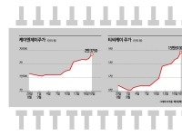 삼성전자·SK하이닉스 뛰었다…'더 훨훨 나는' 소모성 반도체 부품株
