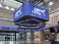 역대급 불장에 "수억 벌었다" 인증글…현실은 개미 절반 "평균 931만원 손실"