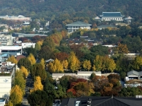 비서관실마다 '이사 책임자' 지정…대통령실도 청와대 복귀 준비