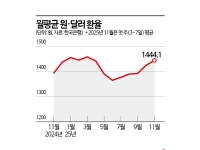 11월 평균환율 '관세 공포' 4월 수준 넘었다…연말 레벨 어디로