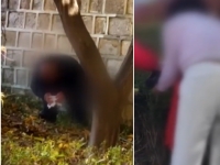 "한국인 아니지?" 한 손에 휴지 들고 '끙'…경복궁 돌담 아래서 용변 본 남녀