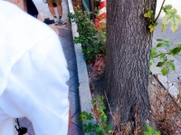 '하다하다 이런 여행, 근데 재밌네'…거짓 범벅 관광지 가고 장갑 한쪽 보고 왔어요[日요일日문화]