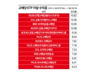 고배당 ETF, 정책 모멘텀 등에 업고 '훨훨'