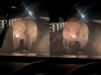 "설마설마했는데…정신 차리기 전 날아갔다" 2년째 후유증 겪고 있는 日 남성