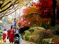 "남자가 치마 입은건 돼요"…한복이면 다 되는줄 알았다, '고궁 무료 입장' 기준 보니
