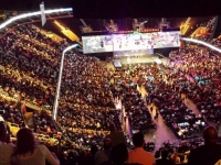 5초 만에 사라진 좌석…'19만원→800만원' 껑충, 41배 폭증한 암표의 실체