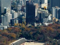 국가유산청, 종묘 앞 145m 개발 제동…