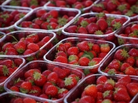 "두명 30만원입니다" 연말 기분 내려다 '깜짝'…또 요금 올린 '딸기 뷔페'