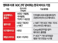 한국發 ADC 전쟁 2막, '내성 돌파'에서 승부 난다