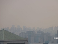 "설마 설마 했는데 심장에도 악영향"…5년간 2861명 초과 사망, '초미세먼지'의 습격