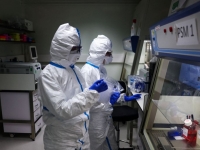 "건강한 사람도 사망" 섬뜩한 경고…전문가들 "코로나보다 위험한 '조류독감' 변이" 