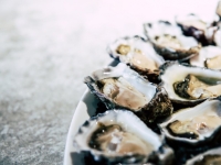 '이건 재앙' 충격에 빠진 일본…'역대급 규모' 폐사에 경고음 켜져