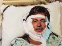 "나와 만나려면 돈 필요해" 브래드 피트 로맨스 스캠에 또 속았다