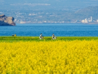 "이게 20만원?"…"이럴거면 일본 가지" 원성 터지자 칼 빼든 제주
