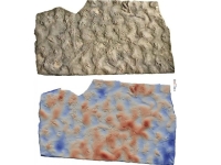 '귀한 물건인데 아뿔싸'…닭발 모양 찍힌 디딤돌 '놀라운 정체'