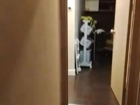 베트남서 또 한국인 사망…고급 빌라서 5일간 방치된 채 발견