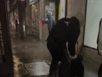 한 달에 두번이나…