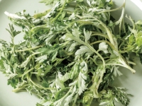 한국에선 아무데서나 '쑥쑥' 자라는 흔한 잡초인데…중국·일본에선 '귀한 몸'