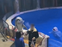 "담배 꺼주세요" 직원 말 무시하자…물속에서 튀어나와 응징