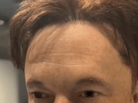 머스크·김정은 얼굴 로봇개, '배변 퍼포먼스' 시선집중…1억 넘어도 완판