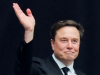 테슬라 로보택시 '무인 테스트' 소식에…주가 최고가