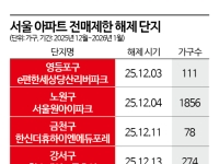 벌써 3억 웃돈 붙었다…3600가구 분양권 '플피 거래'는 글쎄[부동산AtoZ]