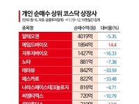 IPO '따따블 신기루'…개미, 신규주 투자로 울상