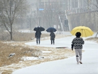[내일날씨]강원 산지 15㎝ 이상…전국 곳곳 눈·비