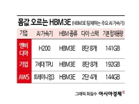 HBM4 세대 교체 앞두고 몸값 오른 HBM3E