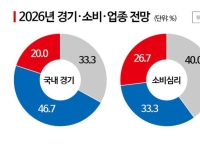 "환율리스크 발목"…유통사 CEO 10명 중 8명 "내년 내수 회복 어렵다"