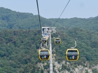 케이블카 만들었더니 주말마다 '바글바글'…관광객 100만 시대 앞둔 강원도 '이곳'