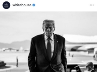 마두로 잡고 백악관이 올린 '김해공항 트럼프'…나라마다 