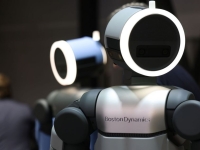 삼성전자도 SK하이닉스도 아니다…올해 대형주 상승률 1위는 현대차