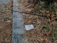 강아지와 산책하던 여성 주변에 화살 쏜 2명 찾았다…경찰 소환 통보