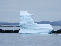 그린란드, 벌써부터 적정가 논란…트럼프 야욕에 가격 책정 시작됐다
