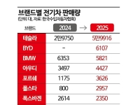 수입 신차 3대 중 1대 '전기차'…'독 3사' 따돌린 테슬라·BYD