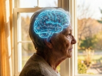 "뇌 노폐물 직접 제거"…알츠하이머 치료 새 접근[과학을읽다]