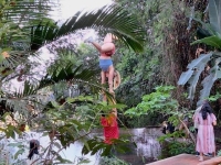 신성한 곳에서 부적절한 행동을…도 넘은 관광객 경고한 태국 사찰 