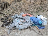 영하 날씨에 산속에서 땀 뻘뻘 흘리는 외국인 남성, 뭐 하는지 봤더니